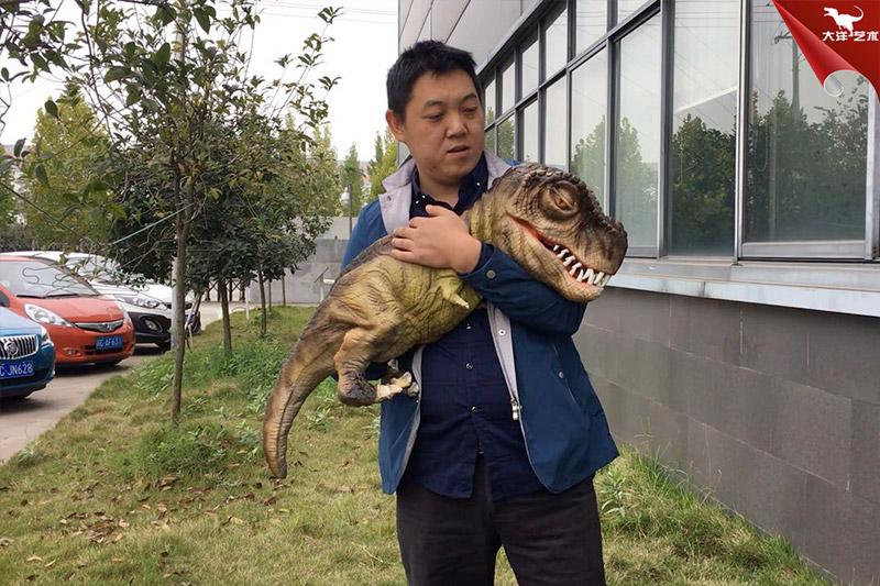恐龍手偶，抱在手里的恐龍